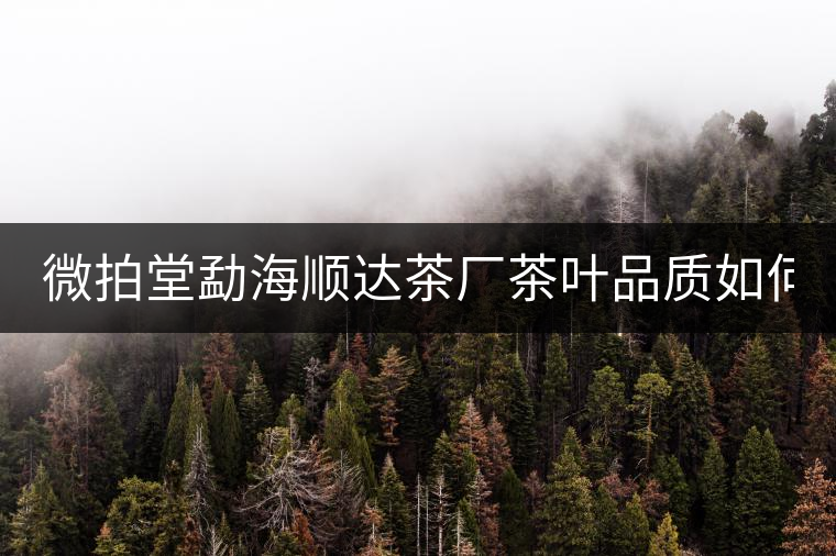 微拍堂勐海順達茶廠茶葉品質(zhì)如何？