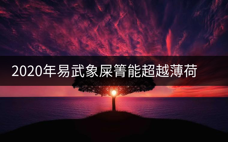 2020年易武象屎箐能超越薄荷塘，比肩哆依樹(shù)高桿嗎？