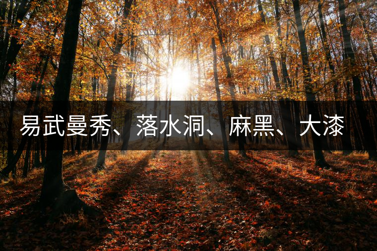 易武曼秀、落水洞、麻黑、大漆樹(shù)等你更喜歡哪個(gè)茶？