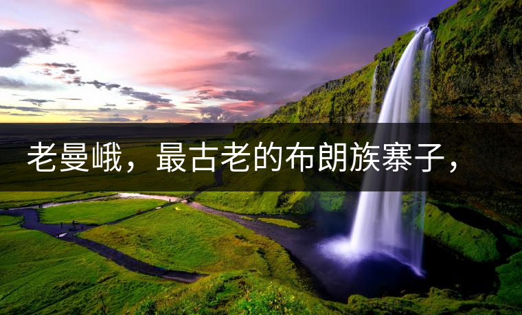 老曼峨，最古老的布朗族寨子，最極端的普洱茶