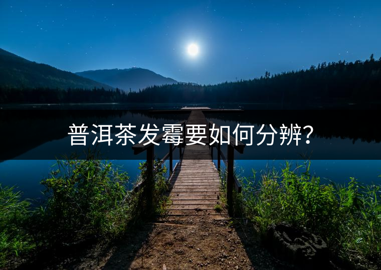 普洱茶發(fā)霉要如何分辨？