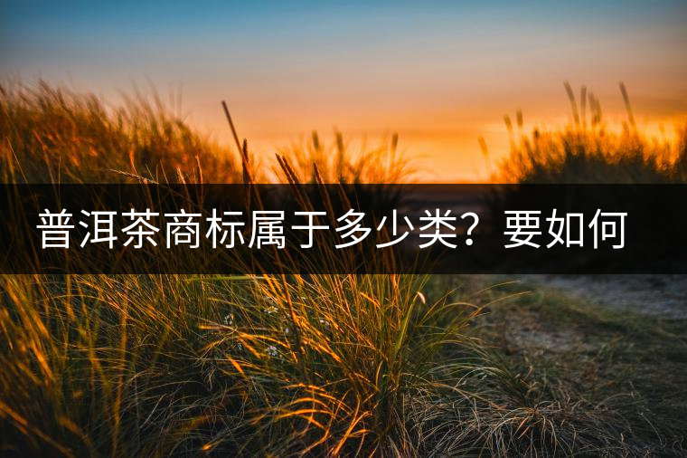 普洱茶商標屬于多少類？要如何注冊