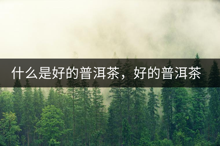 什么是好的普洱茶，好的普洱茶必須要有好的工藝！