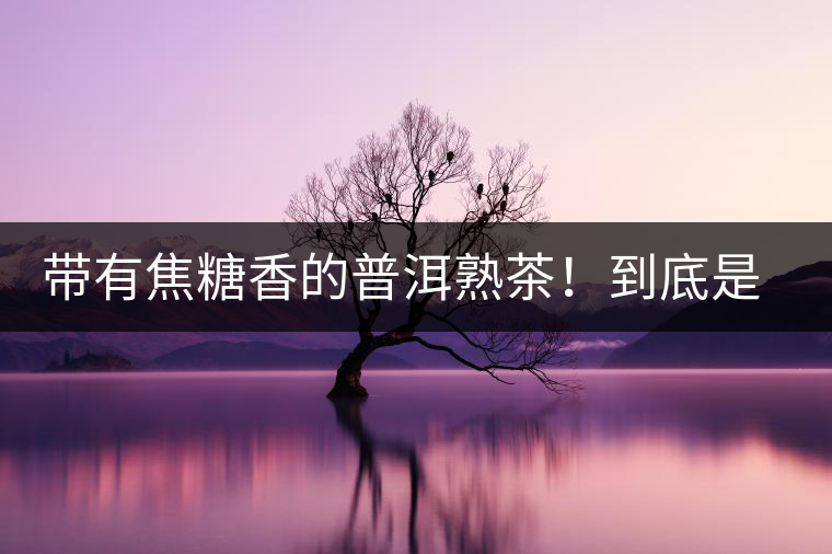 帶有焦糖香的普洱熟茶！到底是好是壞？