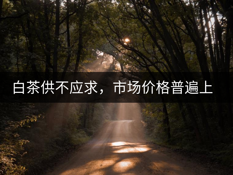 白茶供不應(yīng)求，市場價(jià)格普遍上漲？
