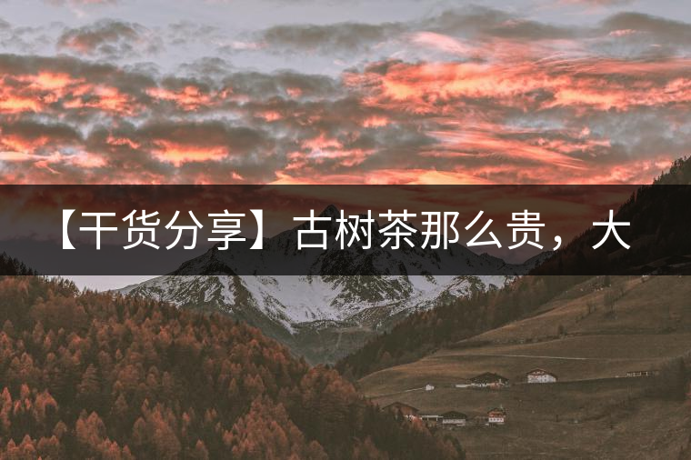 【干貨分享】古樹(shù)茶那么貴，大家為什么還在瘋狂追求？