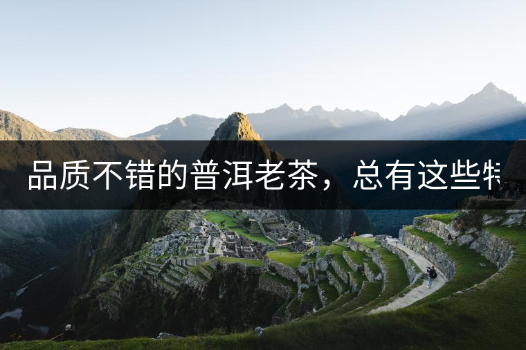 品質(zhì)不錯(cuò)的普洱老茶，總有這些特點(diǎn)！