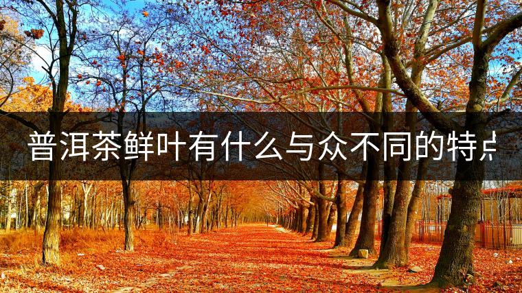 普洱茶鮮葉有什么與眾不同的特點(diǎn)？