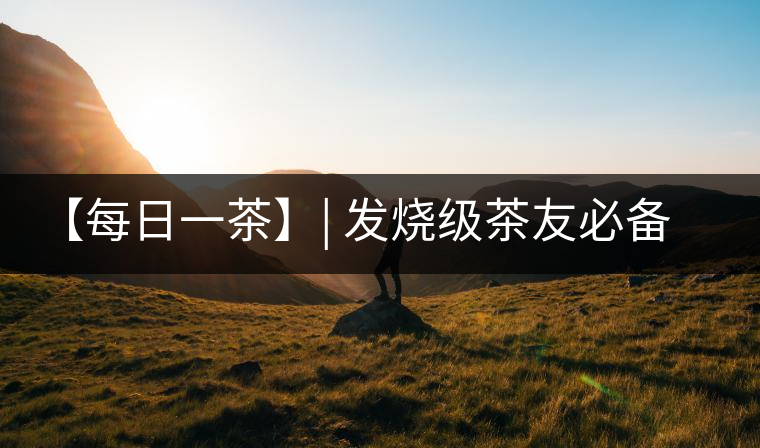 【每日一茶】| 發(fā)燒級(jí)茶友必備——品鑒易武·薄荷塘