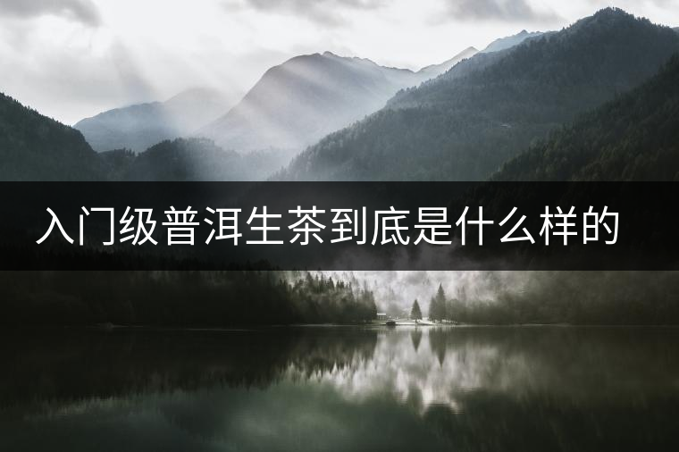 入門級普洱生茶到底是什么樣的口感？