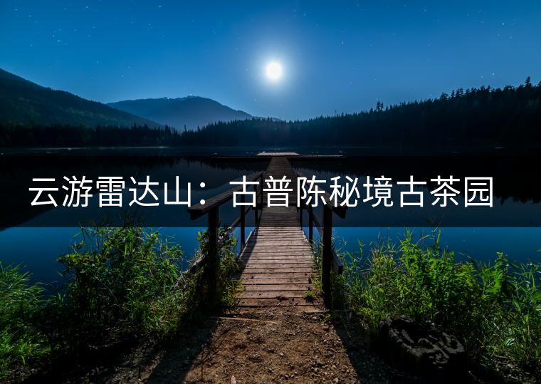 云游雷達(dá)山：古普陳秘境古茶園，品第一杯春鮮