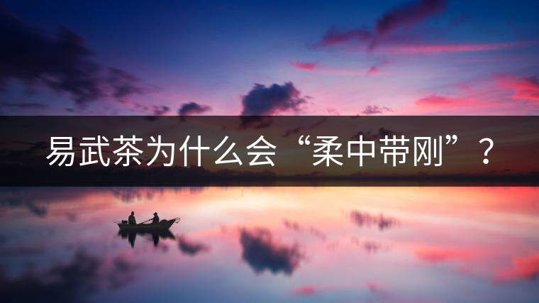 易武茶為什么會(huì)“柔中帶剛”？