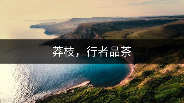 莽枝，行者品茶