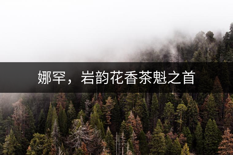 娜罕，巖韻花香茶魁之首