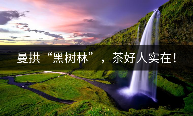 曼拱“黑樹林”，茶好人實(shí)在！