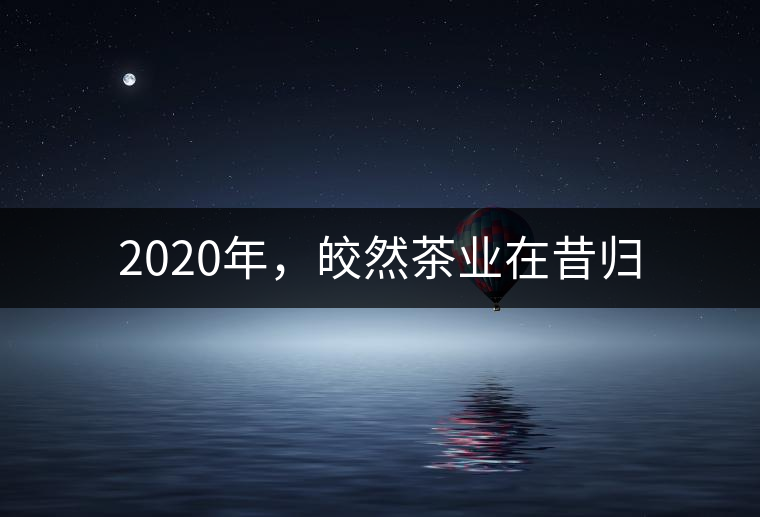 2020年，皎然茶業(yè)在昔歸