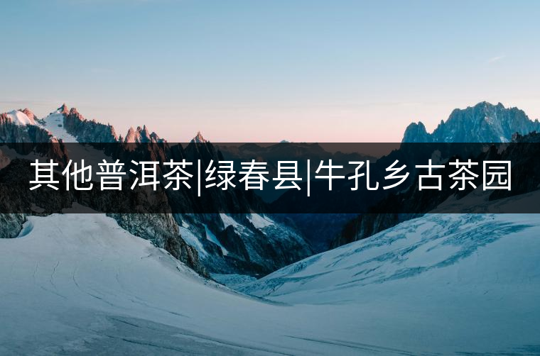 其他普洱茶|綠春縣|?？奏l(xiāng)古茶園