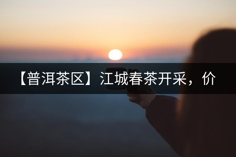 【普洱茶區(qū)】江城春茶開采，價格漲幅小