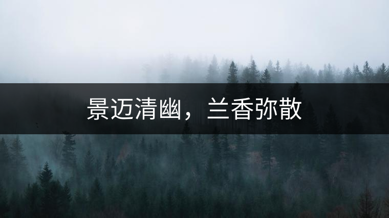 景邁清幽，蘭香彌散