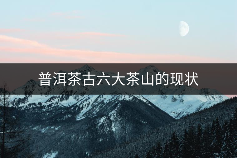 普洱茶古六大茶山的現(xiàn)狀