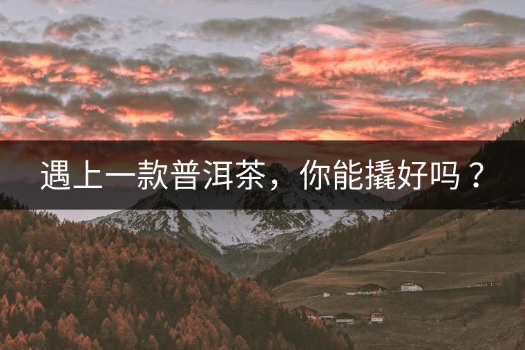 遇上一款普洱茶，你能撬好嗎 ？