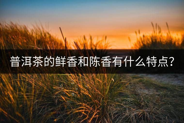 普洱茶的鮮香和陳香有什么特點(diǎn)？