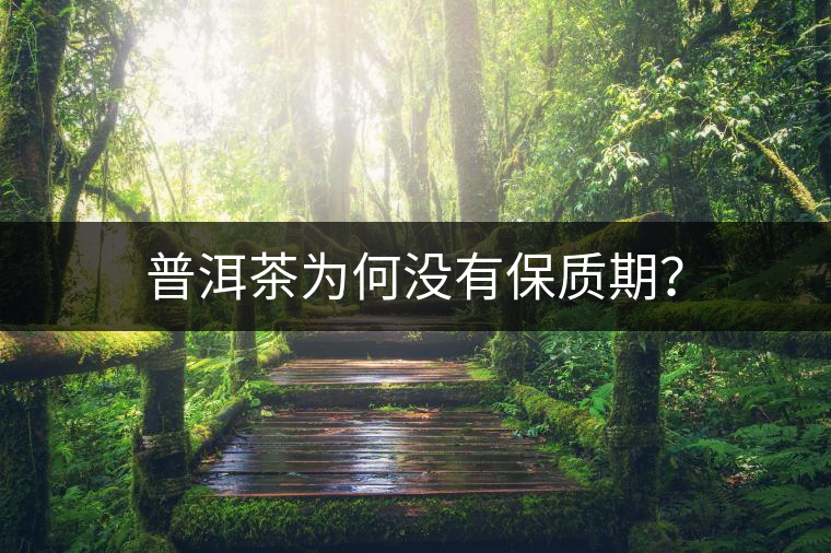 普洱茶為何沒有保質(zhì)期？
