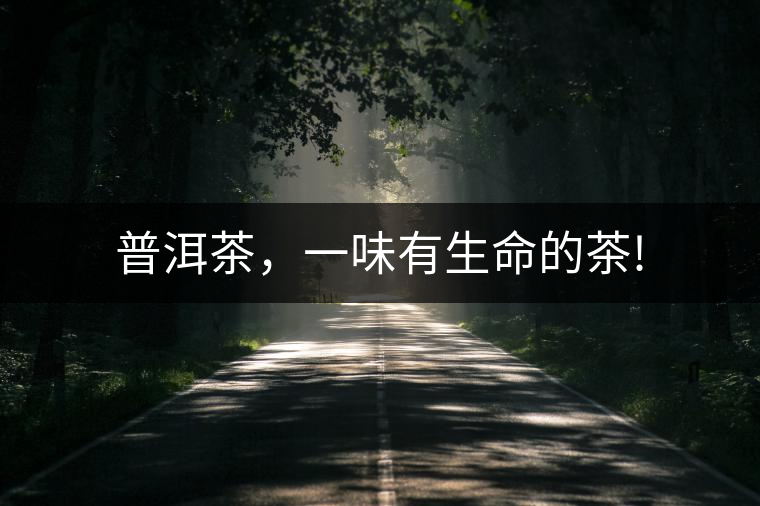 普洱茶，一味有生命的茶!