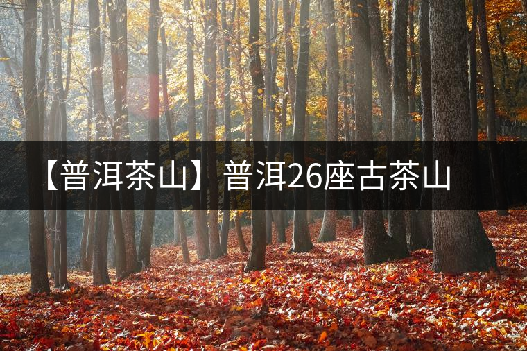 【普洱茶山】普洱26座古茶山巡禮之馬鄧古茶山 【普洱茶山】普洱26座古茶山巡禮之馬鄧古茶山