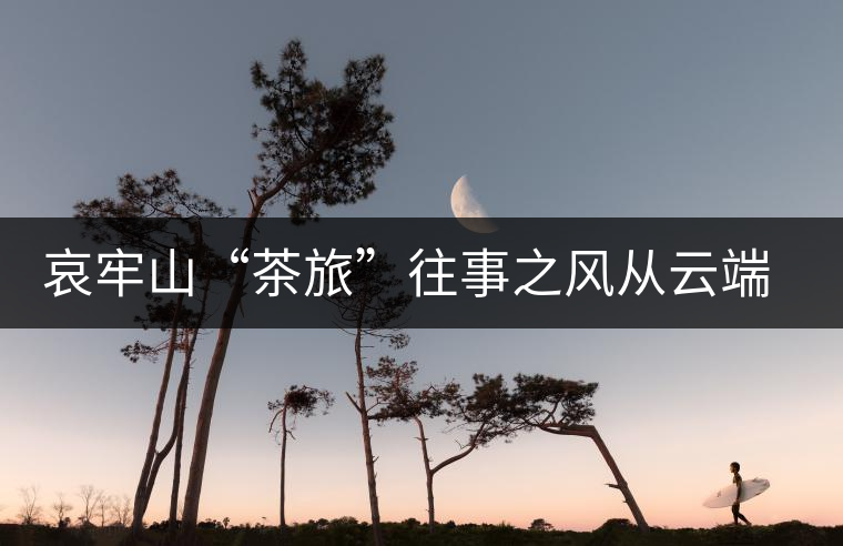 哀牢山“茶旅”往事之風(fēng)從云端來 哀牢山“茶旅”往事之風(fēng)從云端來