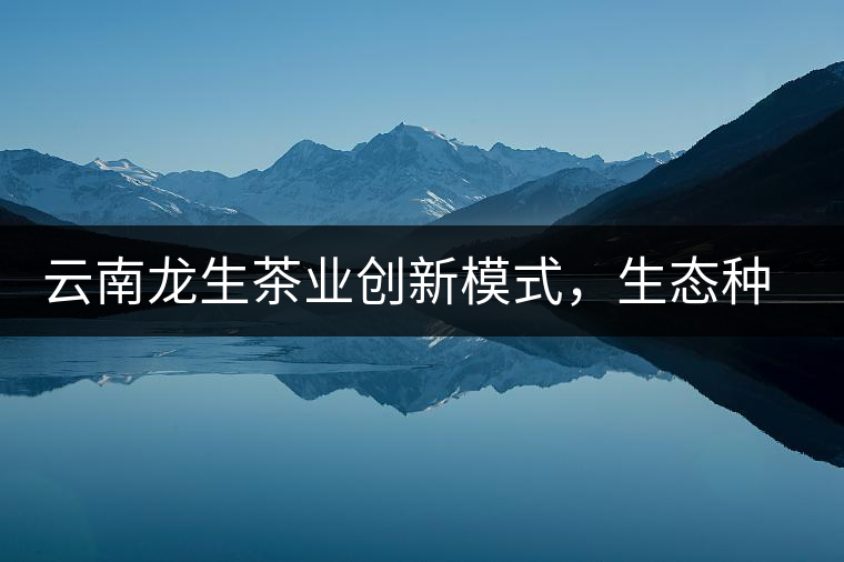 云南龍生茶業(yè)創(chuàng)新模式，生態(tài)種植