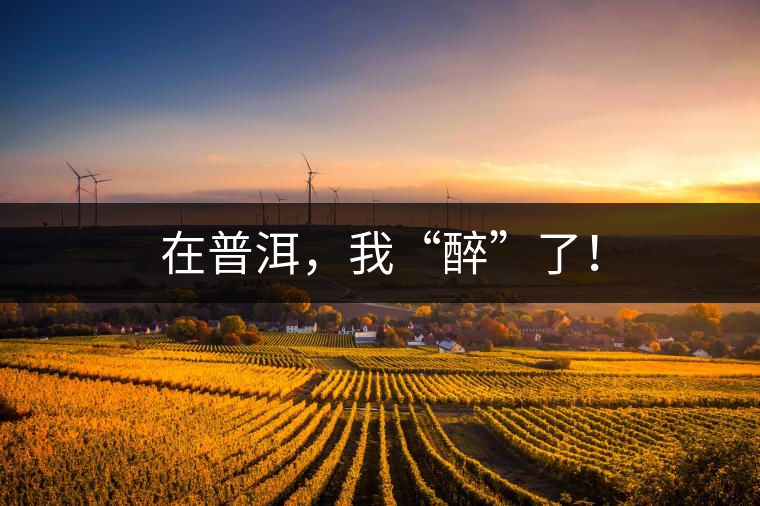 在普洱，我“醉”了！