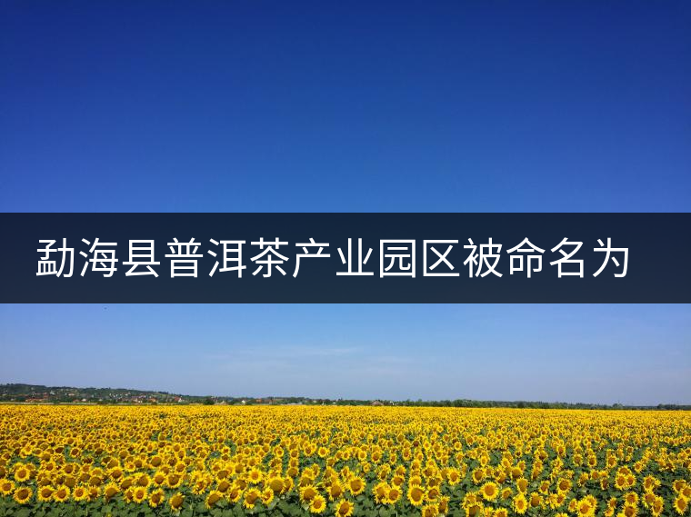 勐?？h普洱茶產(chǎn)業(yè)園區(qū)被命名為 