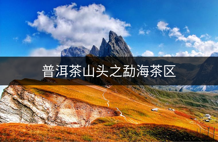 普洱茶山頭之勐海茶區(qū)