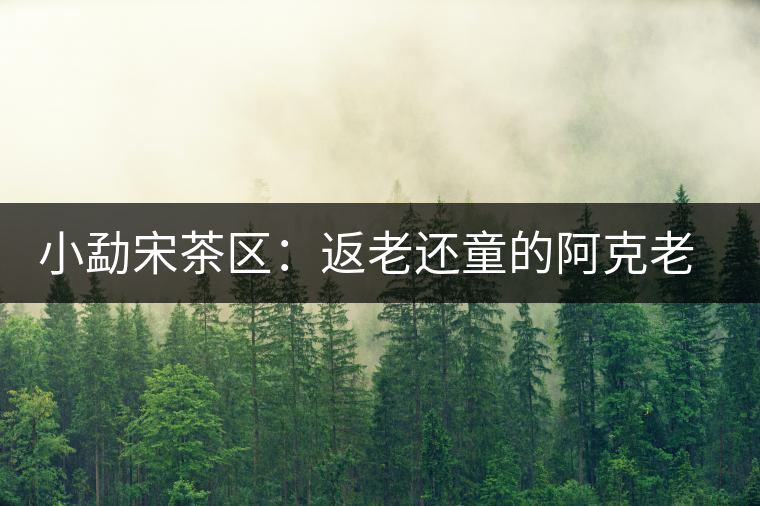 小勐宋茶區(qū)：返老還童的阿克老人