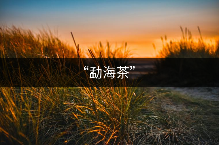 “勐海茶” “勐海茶”