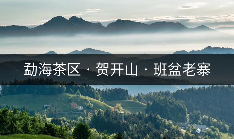 勐海茶區(qū) · 賀開(kāi)山 · 班盆老寨