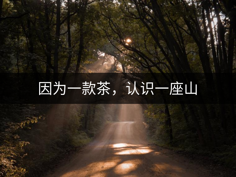 因為一款茶，認識一座山