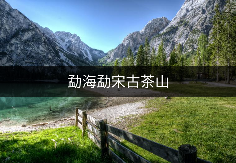 勐海勐宋古茶山 勐海勐宋古茶山