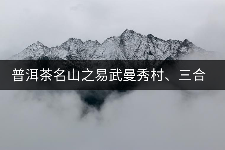普洱茶名山之易武曼秀村、三合社村