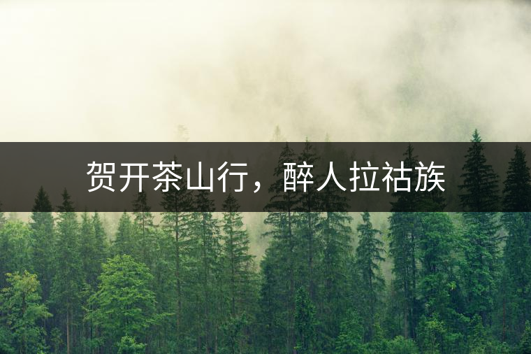 賀開(kāi)茶山行，醉人拉祜族