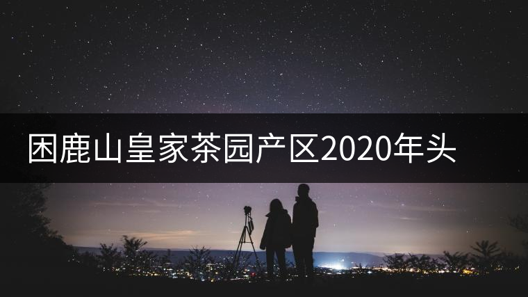 困鹿山皇家茶園產(chǎn)區(qū)2020年頭春古樹，白花林口感特點(diǎn)