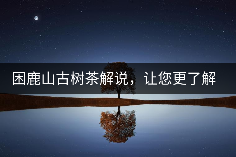 困鹿山古樹茶解說，讓您更了解古樹貢茶