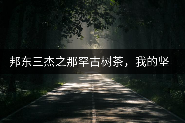 邦東三杰之那罕古樹茶，我的堅持