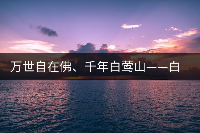 萬世自在佛、千年白鶯山——白鶯山古樹茶特點(diǎn)