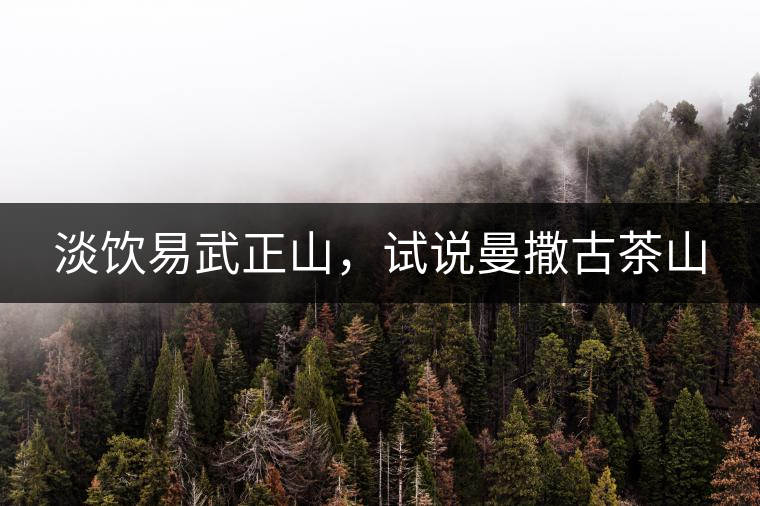 淡飲易武正山，試說曼撒古茶山