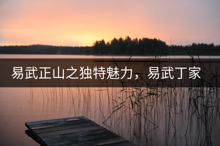 易武正山之獨特魅力，易武丁家寨介紹品鑒