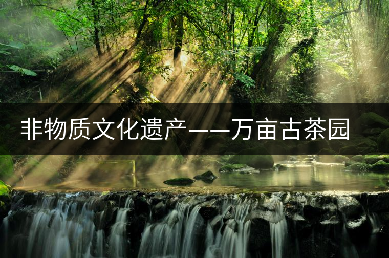 非物質(zhì)文化遺產(chǎn)——萬畝古茶園景邁山大平掌古茶園 非物質(zhì)文化遺產(chǎn)——萬畝古茶園景邁山大平掌古茶園