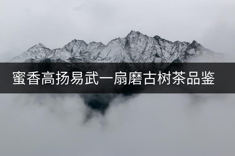 蜜香高揚(yáng)易武一扇磨古樹(shù)茶品鑒開(kāi)湯 蜜香高揚(yáng)易武一扇磨古樹(shù)茶品鑒開(kāi)湯