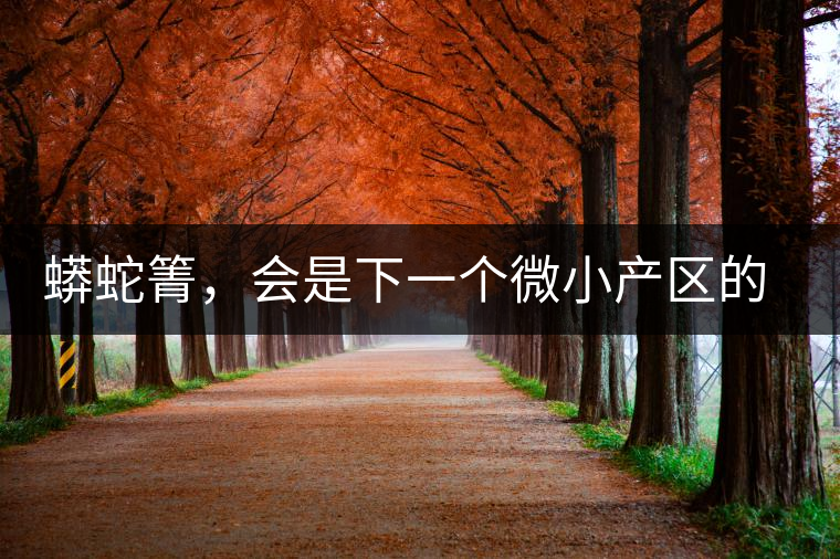 蟒蛇箐，會是下一個微小產(chǎn)區(qū)的熱門山頭嗎？